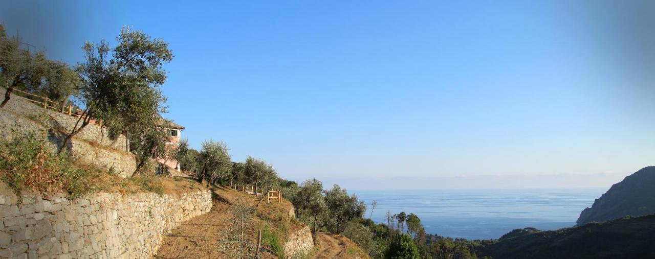 מונטרוסו אל מארה Agriturismo Missanega מראה חיצוני תמונה